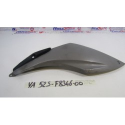 Plastica sottopedana dx...