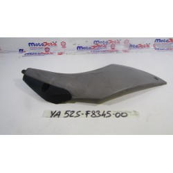 Plastica sottopedana sx...