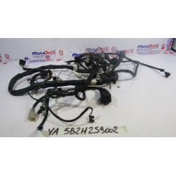 Impianto elettrico Wiring...