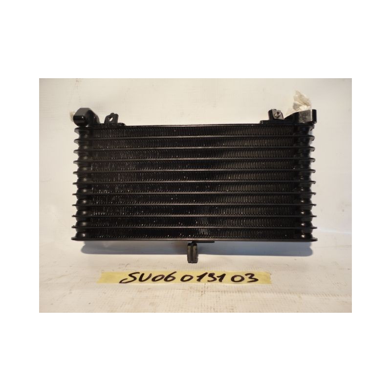 Radiatore olio Oil Cooler Ölkühler Suzuki B-King 1340 08 10