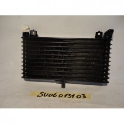 Radiatore olio Oil Cooler Ölkühler Suzuki B-King 1340 08 10