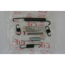 Kit molle ganasce freno CIF...