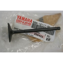 Valvola aspirazione Intake...