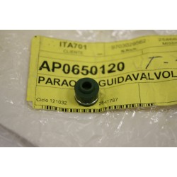 Paraolio valvola...