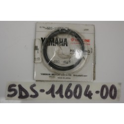 Fasce pistone Piston ring...