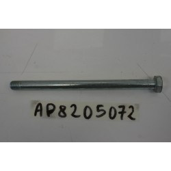 Perno forcellone Swing arm...