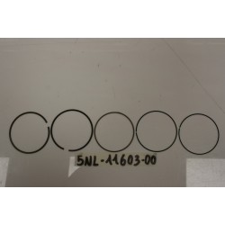 Fasce pistone Piston ring...