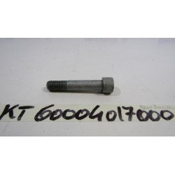 Bullone mono ammortizzatore...