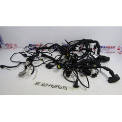 Impianto elettrico Wiring...
