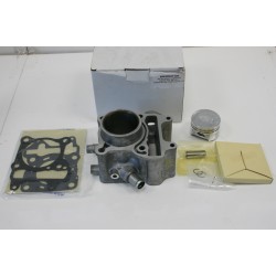Gruppo termico Cylinder...