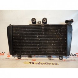 Radiatore acqua Water Radiator Triumph Speed triple 1050 08 10