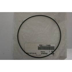 O-ring testata cilindro...