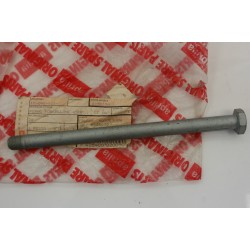 Perno forcellone Swing arm...