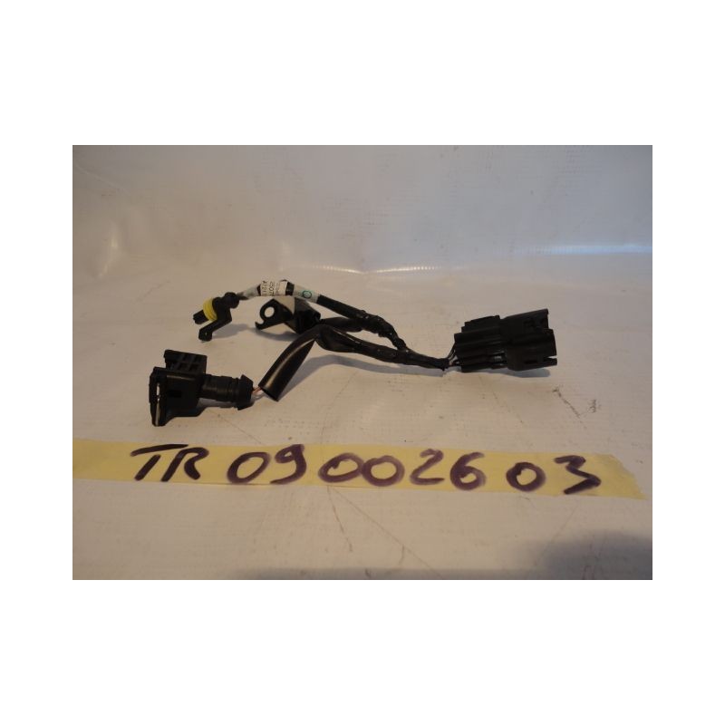 Cablaggio sensori sensors wiring Triumph Tiger 800 10 14