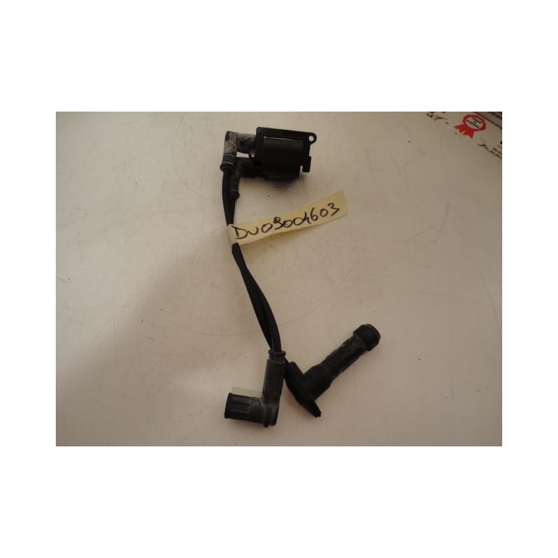 Bobina cilindro verticale Coil vertical cylinder Ducati Hypermotard 1100