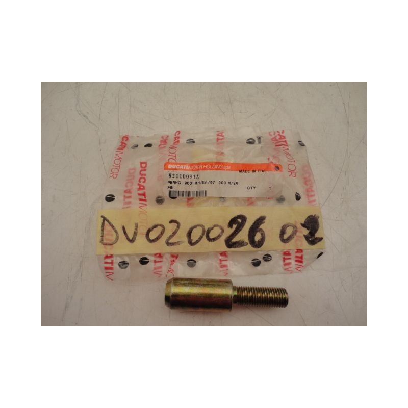 Perno adattore forcellone Swingarm pin adapter Ducati Monster 750/900/SS