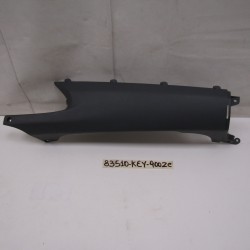 Carena coda sx Tail fairing...