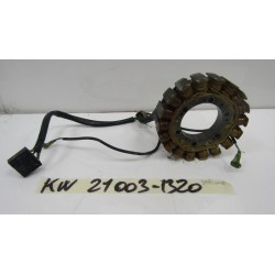 Statore Stator assy...