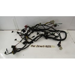 Impianto elettrico Wiring...