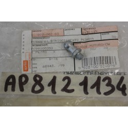 Perno pedana Footrest pin...