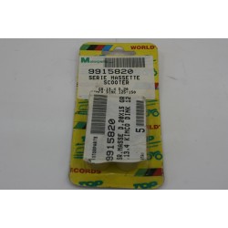 Kit 6 rulli variatore 20 X...