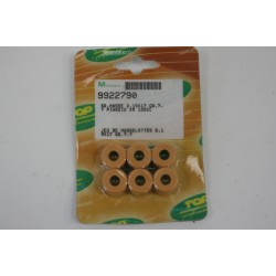 Kit 6 rulli variatore 19 X...