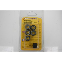 Kit 6 rulli variatore 17 X...