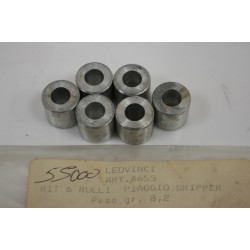 Kit 6 rulli variatore 15,8...