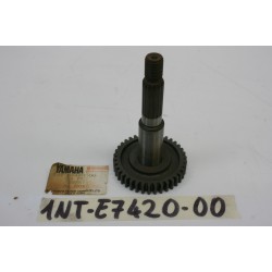 Albero secondario...