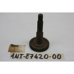 Albero secondario Z38...