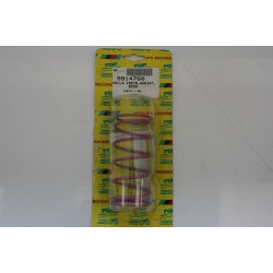 Molla contrasto variatore...