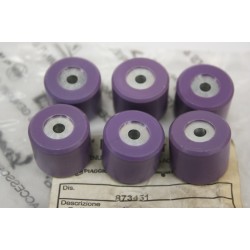 Kit 6 rulli variatore 21 X...
