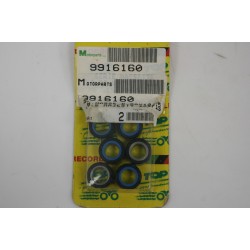Kit 6 rulli variatore 20 X...