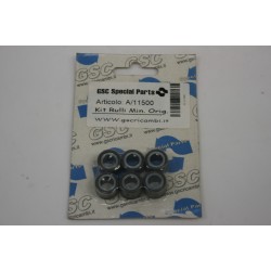 Kit 6 rulli variatore 15 X...