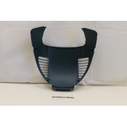 Carena griglia radiatore...