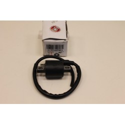 Bobina accensione ONE...