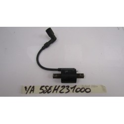 Bobina accensione Ignition...