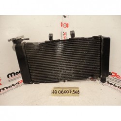 Radiatore acqua Water Radiator Honda Integra 700 11 14