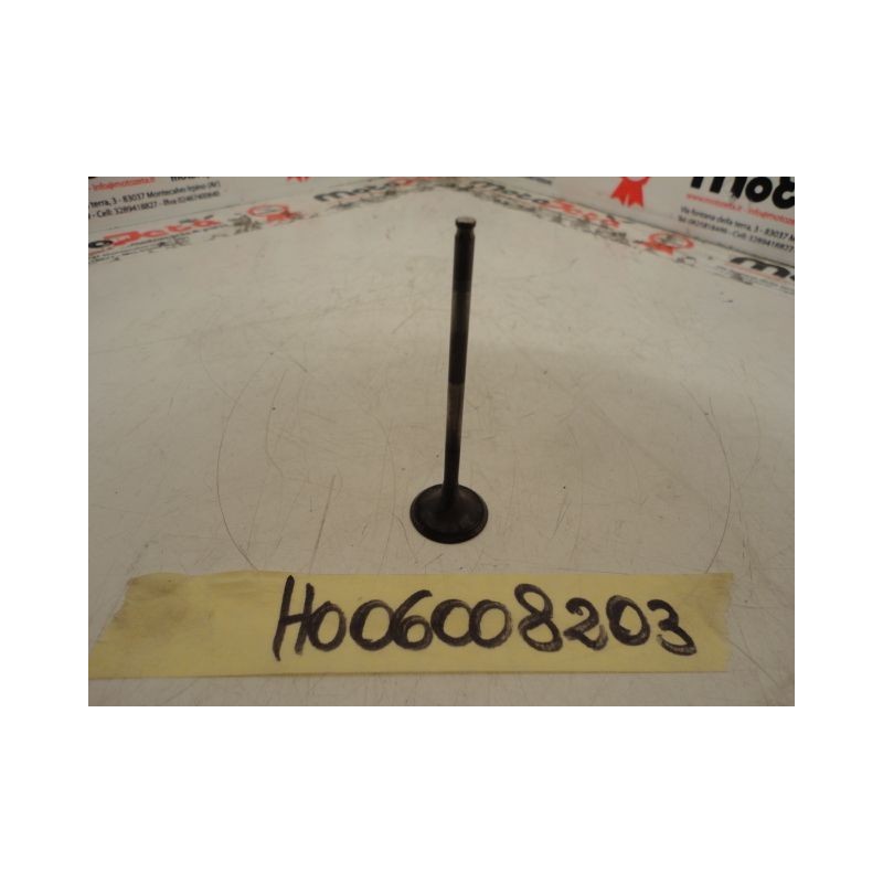 Valvola Scarico Valve Exhaust Honda Hornet 600 99 02