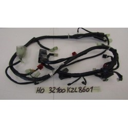 Impianto elettrico Wiring...