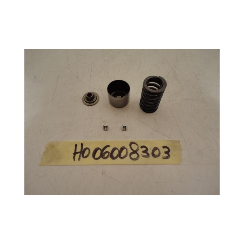 Arredo montaggio valvola aspirazione Intake Valve Honda Hornet 600 99 02