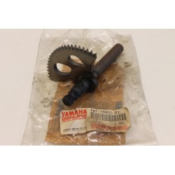 Alberino avviamento Kick...