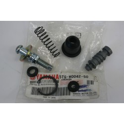 Kit revisione pompa freno...