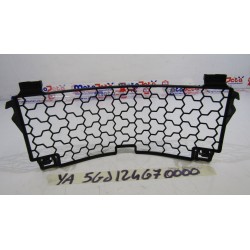 Griglia radiatore Radiator...