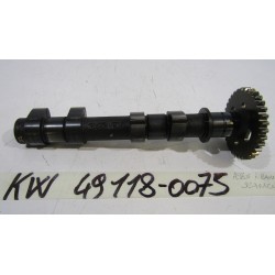 Asse a camme scarico...