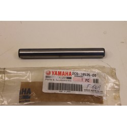 Asta selettore 2 cambio...