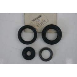 Kit paraoli motore rotax...