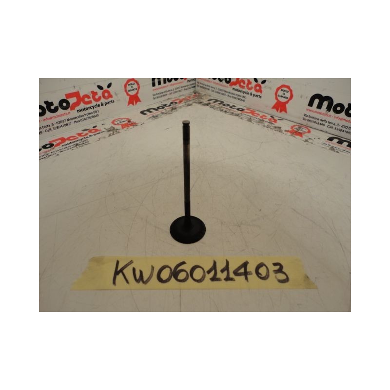 Valvola Aspirazione Intake Valve Kawasaki Z 1000 03 06