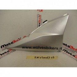 Fianchetto destro underseat side panel right Kawasaki Z750 03 06 riverniciato