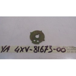 Ruota fonica distribuzione...